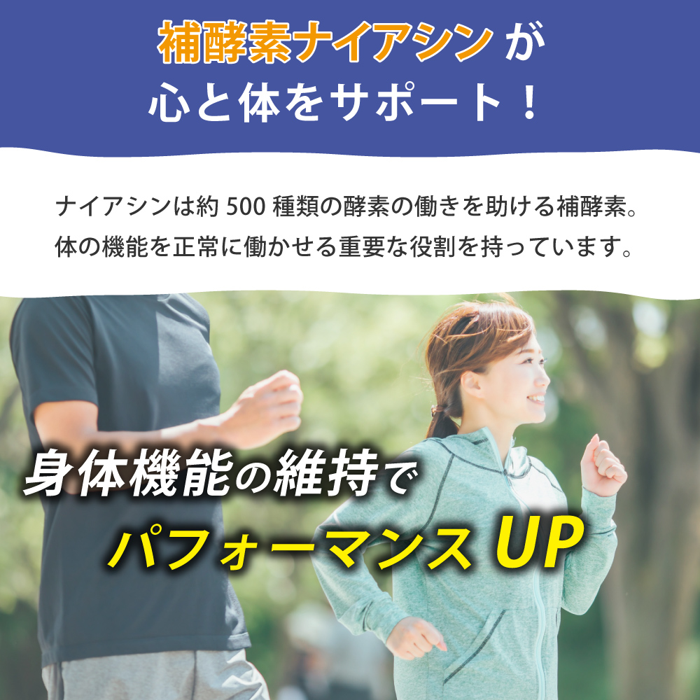 補酵素ナイアシンが心と体をサポート