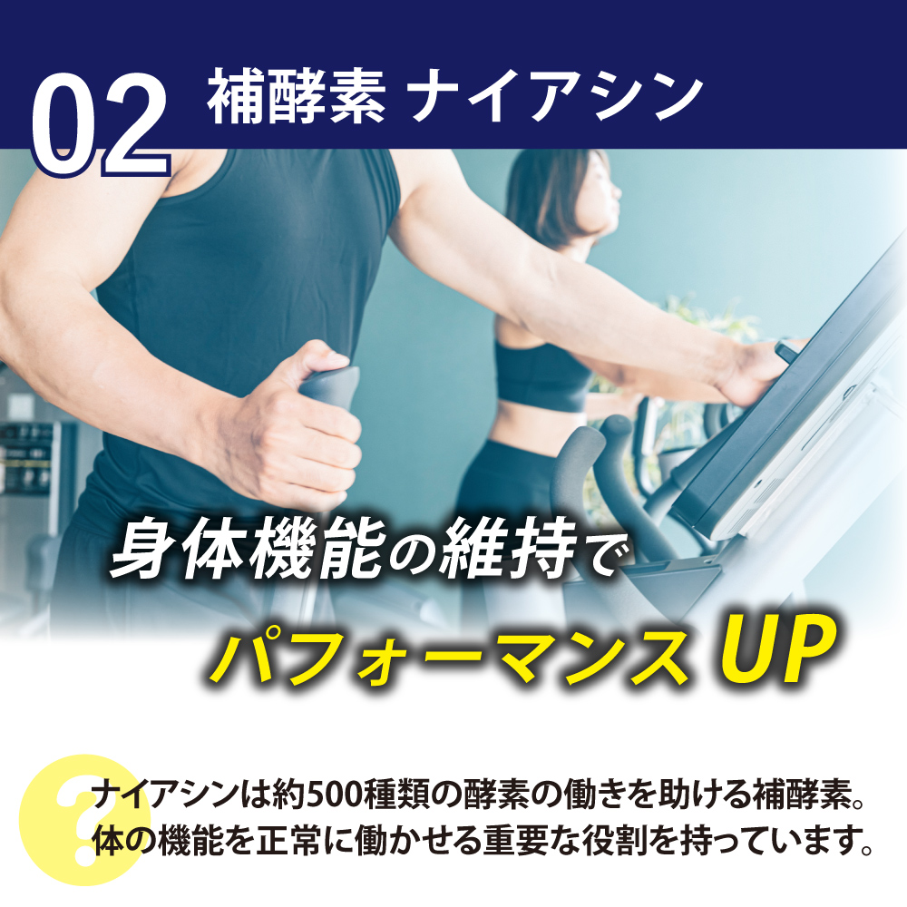 補酵素ナイアシン