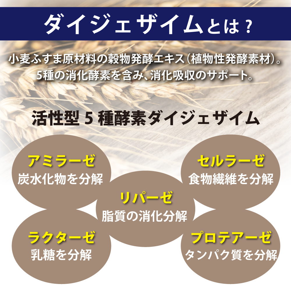 スーパー植物酵素（活性型5種酵素）のダイジェザイムを配合