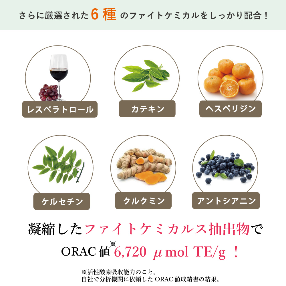 凝縮したファイトケミカルス抽出物