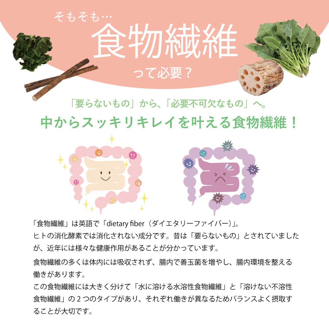 中からスッキリキレイを叶える食物繊維