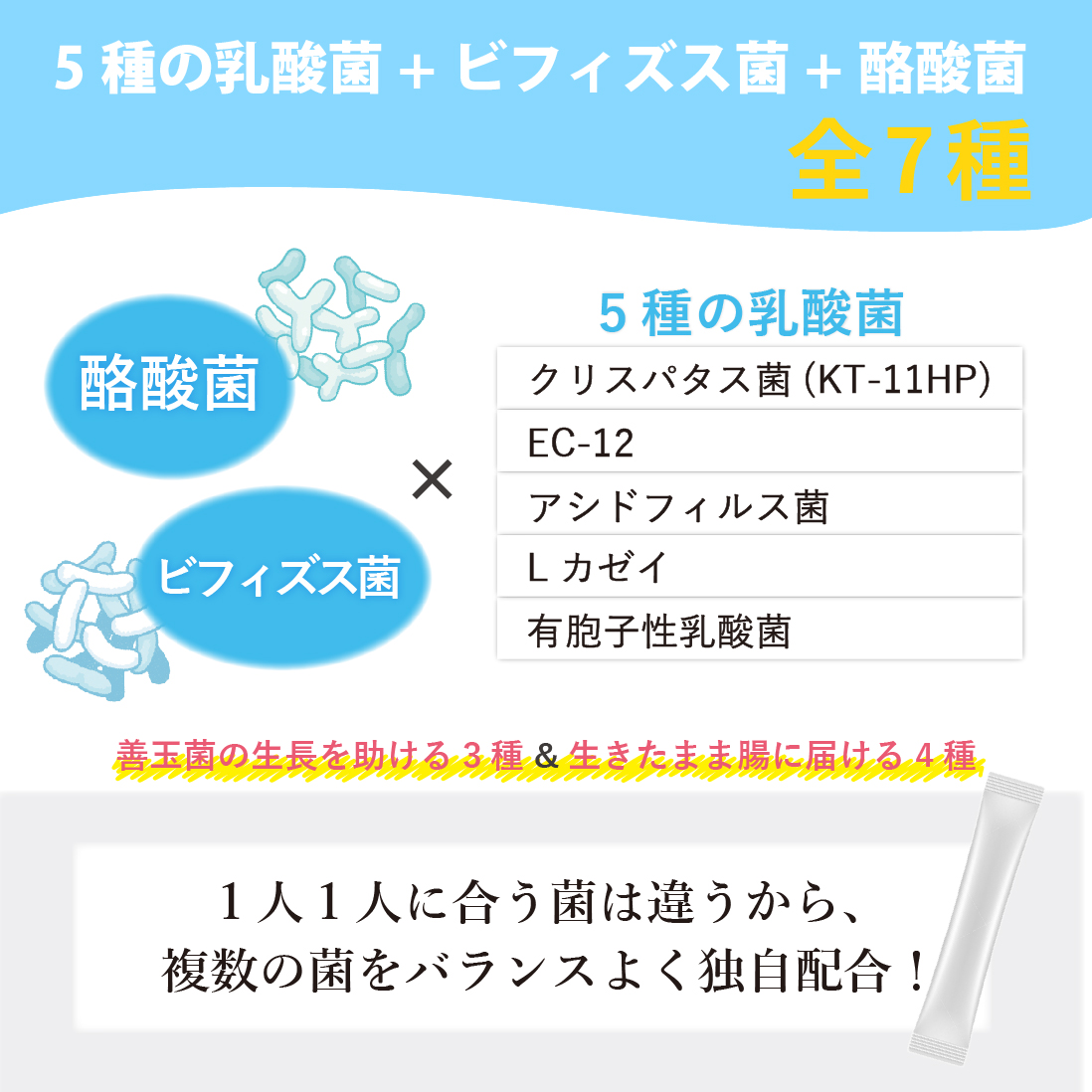 5種の乳酸菌　ビフィズス菌　酪酸菌