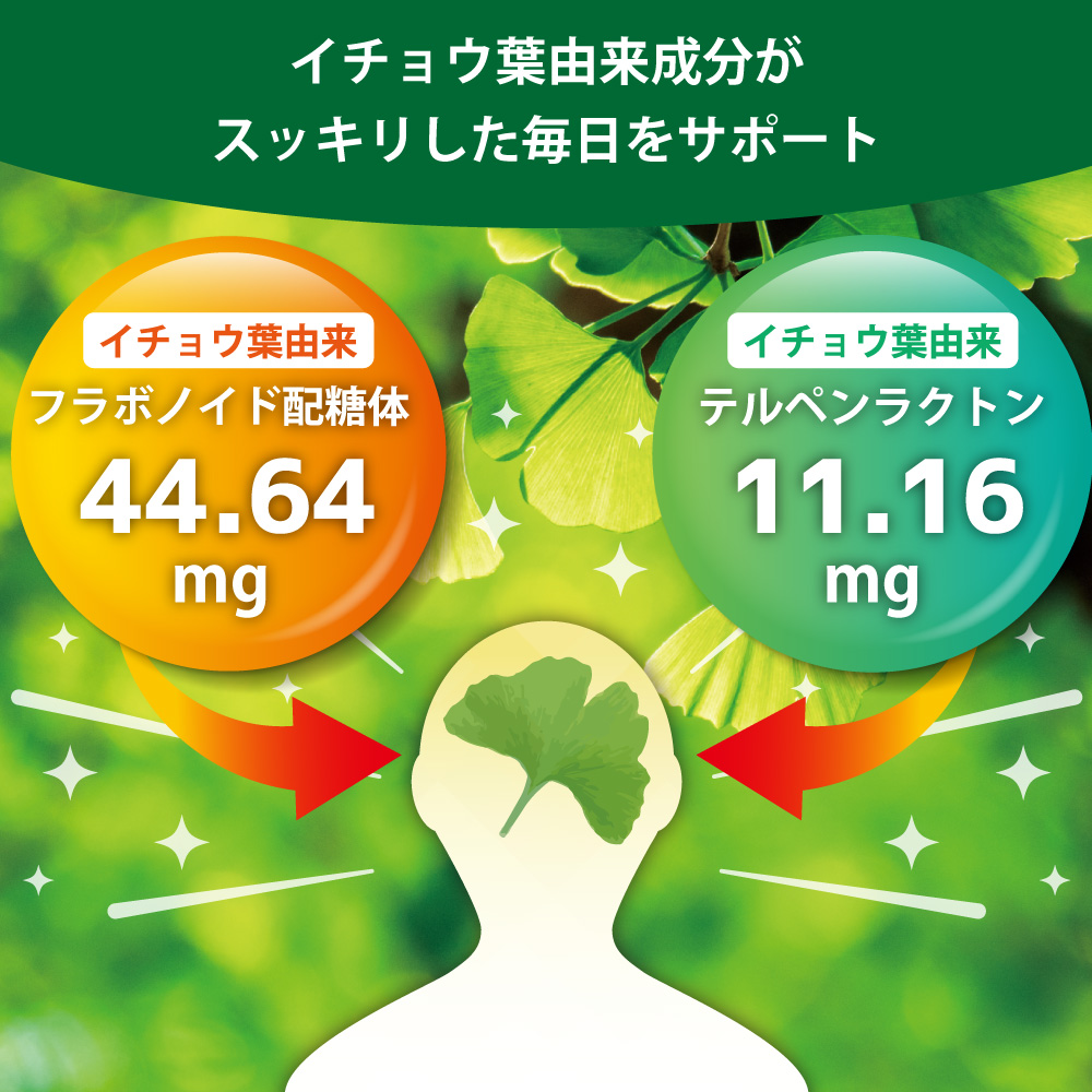 イチョウ葉由来成分がスッキリした毎日をサポート