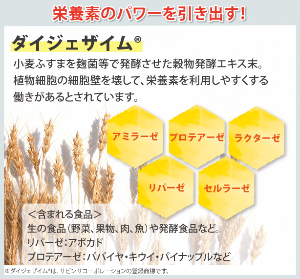 消化をサポートして、栄養素のパワーを引き出すダイジェザイム®。小麦ふすまを麹菌等で発酵させた穀物発酵エキス末。植物細胞の細胞壁を壊して、栄養素を利用しやすくする働きがあるとされています。