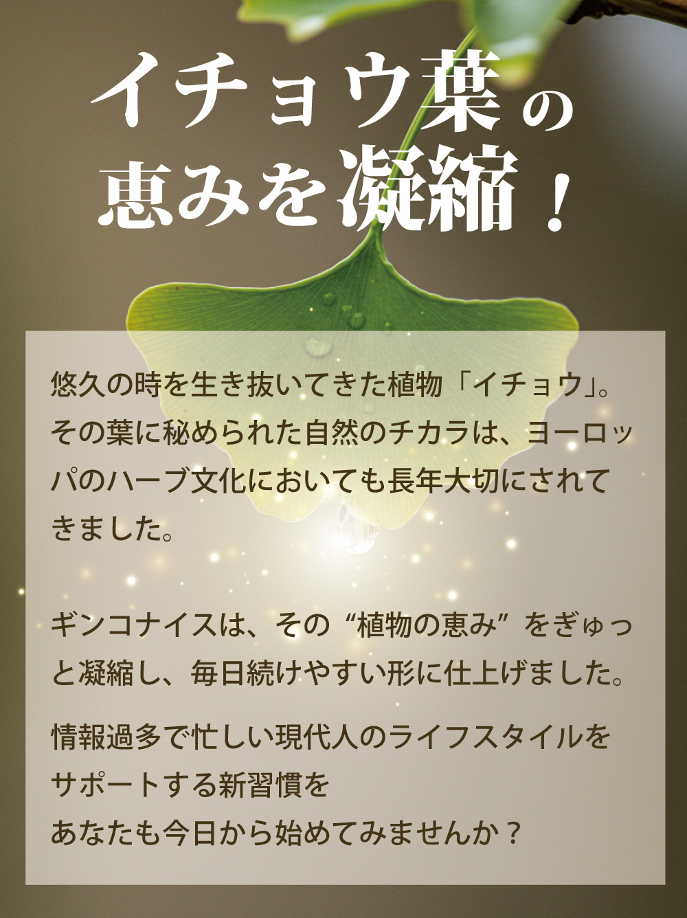 アイナチュラ社ギンコナイスは“植物の恵み”をぎゅっと凝縮し、毎日続けやすい形に仕上げました。