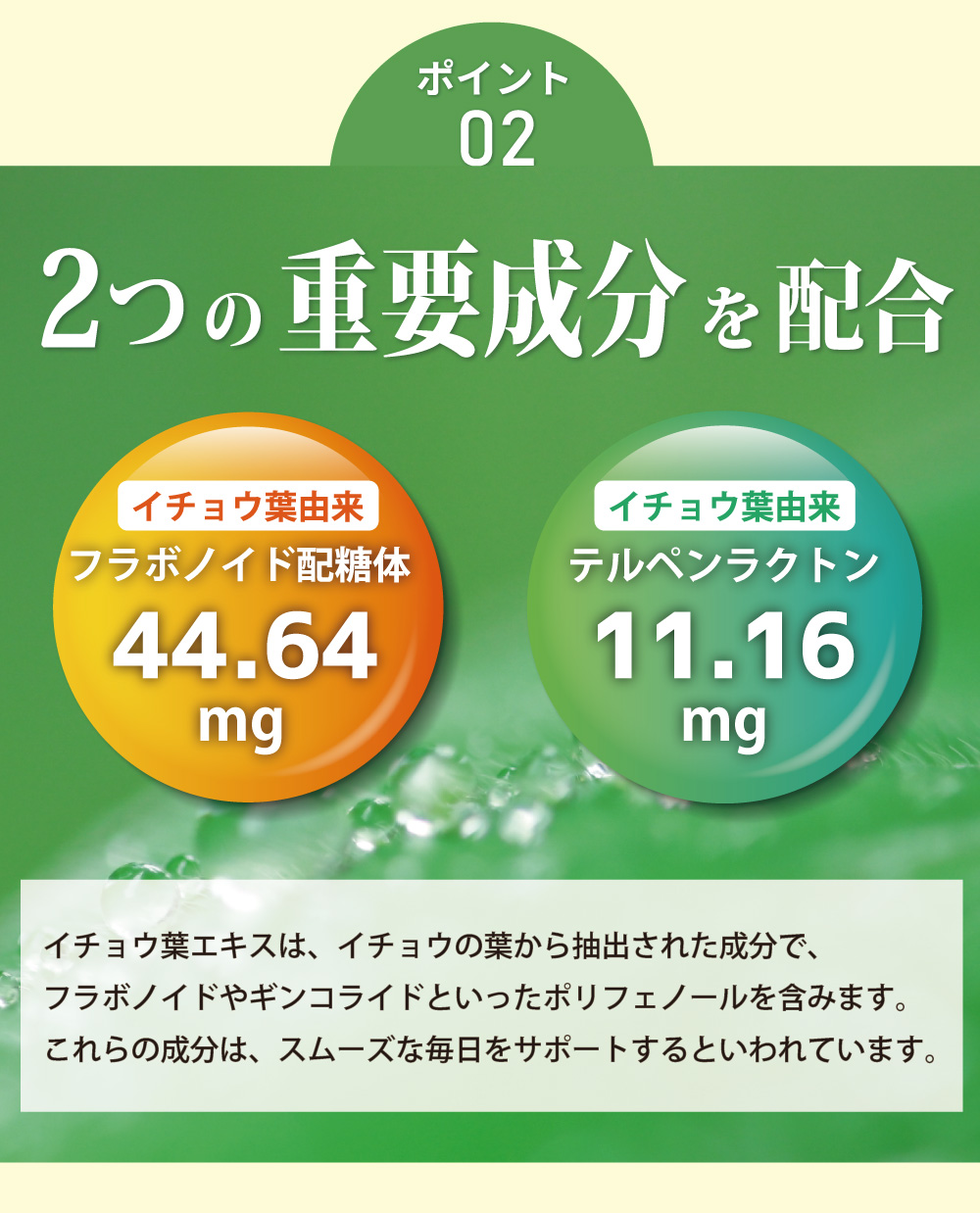 イチョウ葉エキスは、イチョウの葉から抽出された成分で、フラボノイドやギンコライドといったポリフェノールを含みます。これらの成分は、スムーズな毎日をサポートするといわれています。