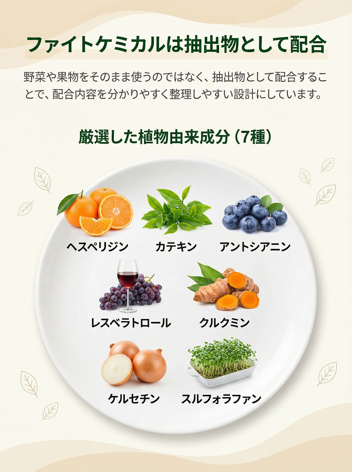 ファイトケミカルを抽出物として配合した成分説明画像。厳選した植物由来のヘスペリジン、カテキン、アントシアニン、レスベラトロール、クルクミン、ケルセチン、スルフォラファンの7種を配合。