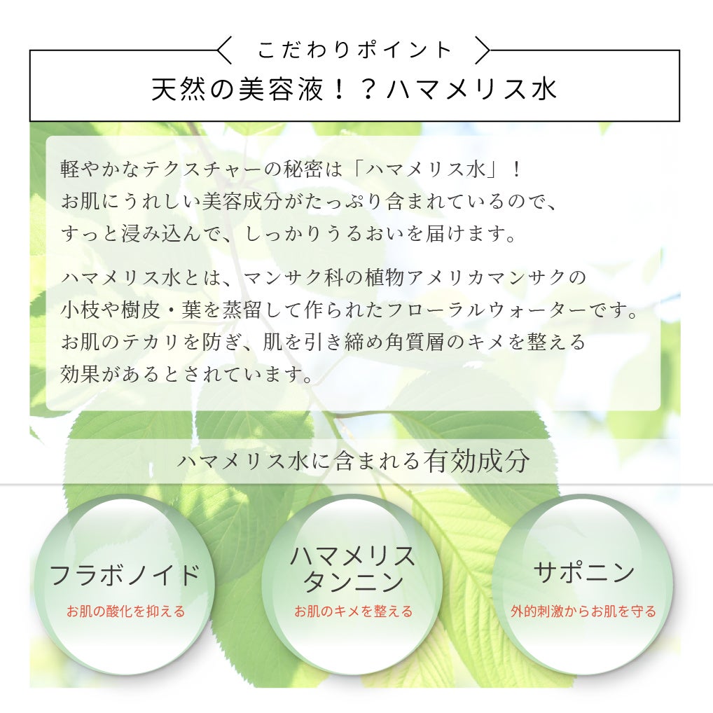 アイナチュラプレミアム Ns リッチトーナーに配合されたハマメリス水を紹介。フラボノイドやハマメリスタンニン、サポニンなどを含む植物由来成分で、肌を整えながらうるおいを与える