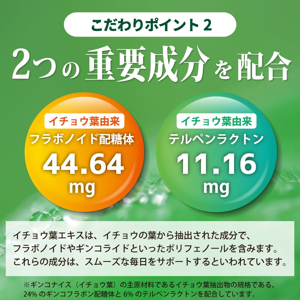 アイナチュラプレミアム　ギンコナイス（イチョウ葉）