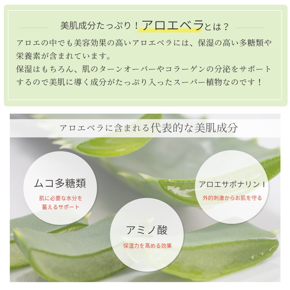 アロエベラに含まれる代表的な美容成分として、ムコ多糖類、アロエサポナリン、アミノ酸を紹介。肌にうるおいを与え、健やかな状態に整える植物由来の保湿成分について解説
